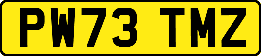 PW73TMZ