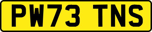 PW73TNS