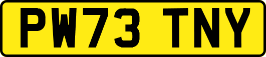 PW73TNY