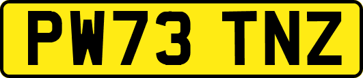 PW73TNZ