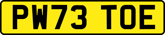 PW73TOE