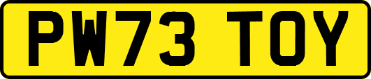 PW73TOY
