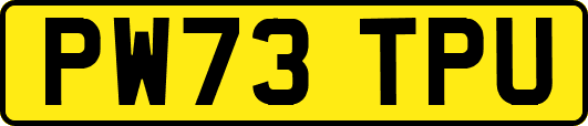 PW73TPU