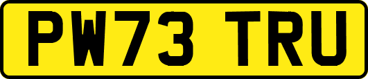 PW73TRU