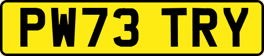 PW73TRY
