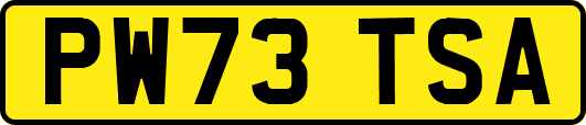 PW73TSA