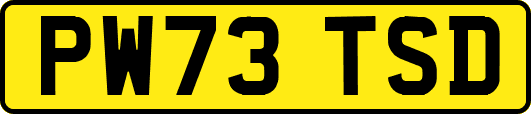 PW73TSD