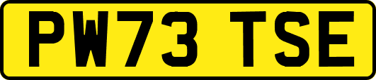 PW73TSE