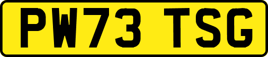 PW73TSG