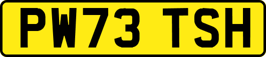 PW73TSH