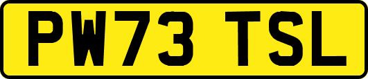 PW73TSL