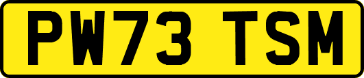 PW73TSM