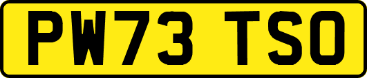 PW73TSO