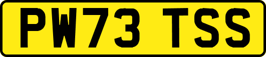 PW73TSS