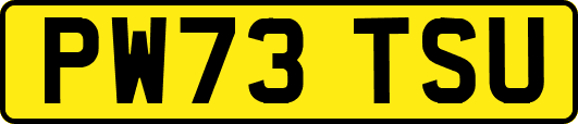 PW73TSU