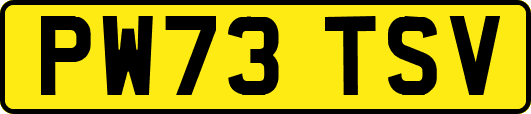 PW73TSV