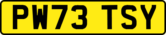 PW73TSY
