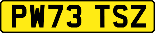 PW73TSZ