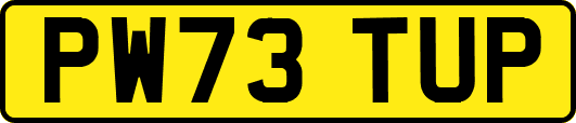 PW73TUP