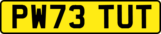 PW73TUT