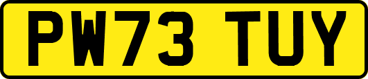 PW73TUY