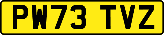 PW73TVZ
