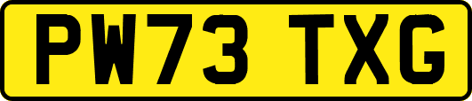 PW73TXG