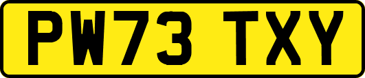 PW73TXY