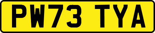 PW73TYA