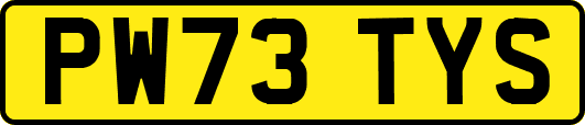 PW73TYS