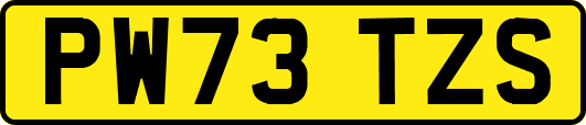 PW73TZS
