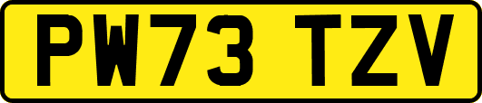 PW73TZV