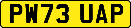 PW73UAP
