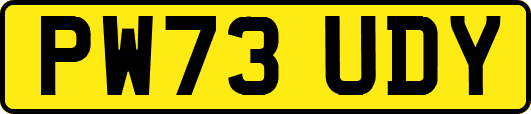 PW73UDY
