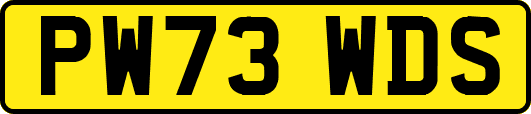 PW73WDS