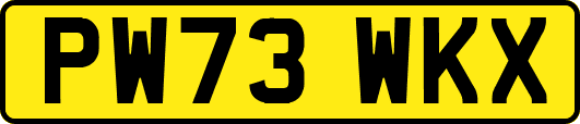 PW73WKX