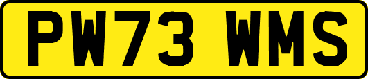 PW73WMS