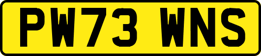 PW73WNS