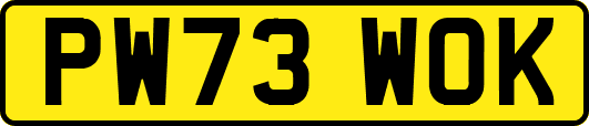 PW73WOK