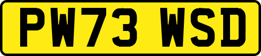 PW73WSD