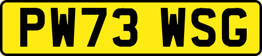 PW73WSG
