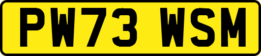 PW73WSM