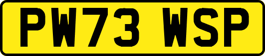 PW73WSP