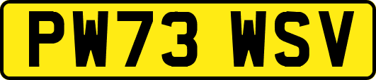 PW73WSV