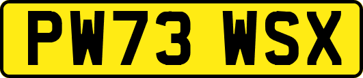 PW73WSX