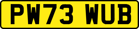 PW73WUB