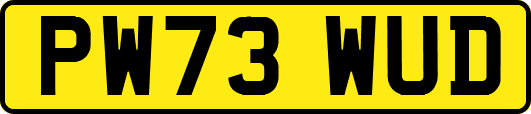 PW73WUD