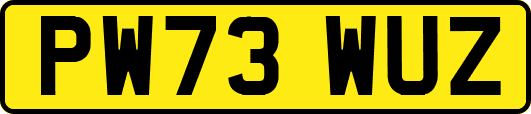 PW73WUZ