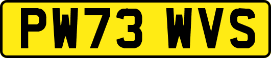 PW73WVS