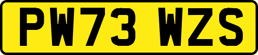 PW73WZS